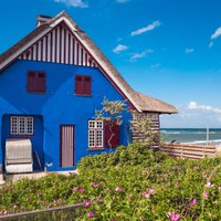Foto: Dzīvespriecīgas mājas visdažādākajās varavīksnes krāsās