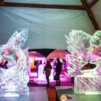 ФОТО: На Фестивале ледовых скульптур в Елгаве победил литовский скульптор