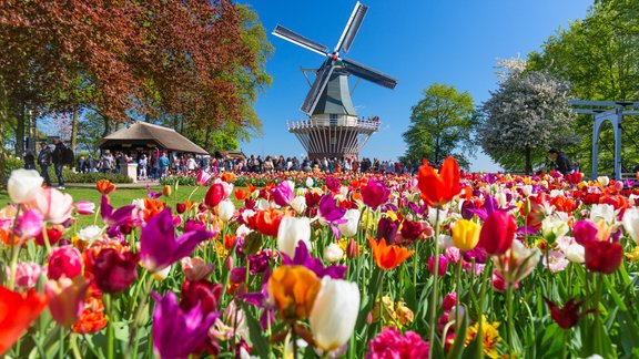 Keukenhofas dārzs, Keukenhofas ziedu dārzs, Keukenhof Gardens,  Garden of Europe