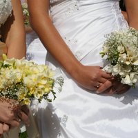 Мировые тренды свадебной моды