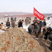 Foto: Kā ziemeļkorejiešu ierēdņi nebaidās smaga darba