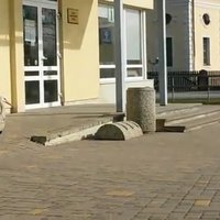 Video: Ķekavas centrā mierīgi pastaigājas baltais stārķis