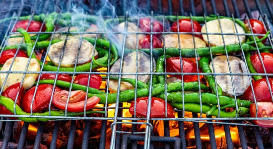 Kokogļu, gāzes vai Kamado tipa – kādu grilu izvēlēties?