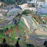 ФОТО: Место, где рисовые поля — шедевры ландшафтного дизайна