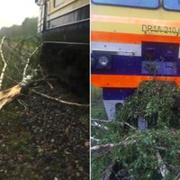 Video: Negaisā kritis koks apturējis pat vilcienu no Zilupes