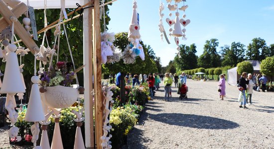 Foto: Lustīga andelēšanās rudens stādu tirgū Rundāles pils dārzā