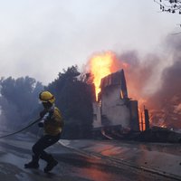 Losandželosas rajonā savvaļas ugunsgrēka dēļ iedzīvotāji panikā evakuējas 