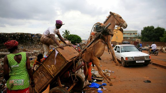 Ēzeļi Mali galvaspilsēta Bomako - 2