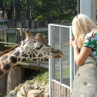 К столетию Латвии в Рижском зоопарке откроют экспозицию "Африканская саванна"