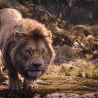 'Disney' uzņems vēl vienu filmu par 'Karali lauvu', kura režisēs Berijs Dženkinss