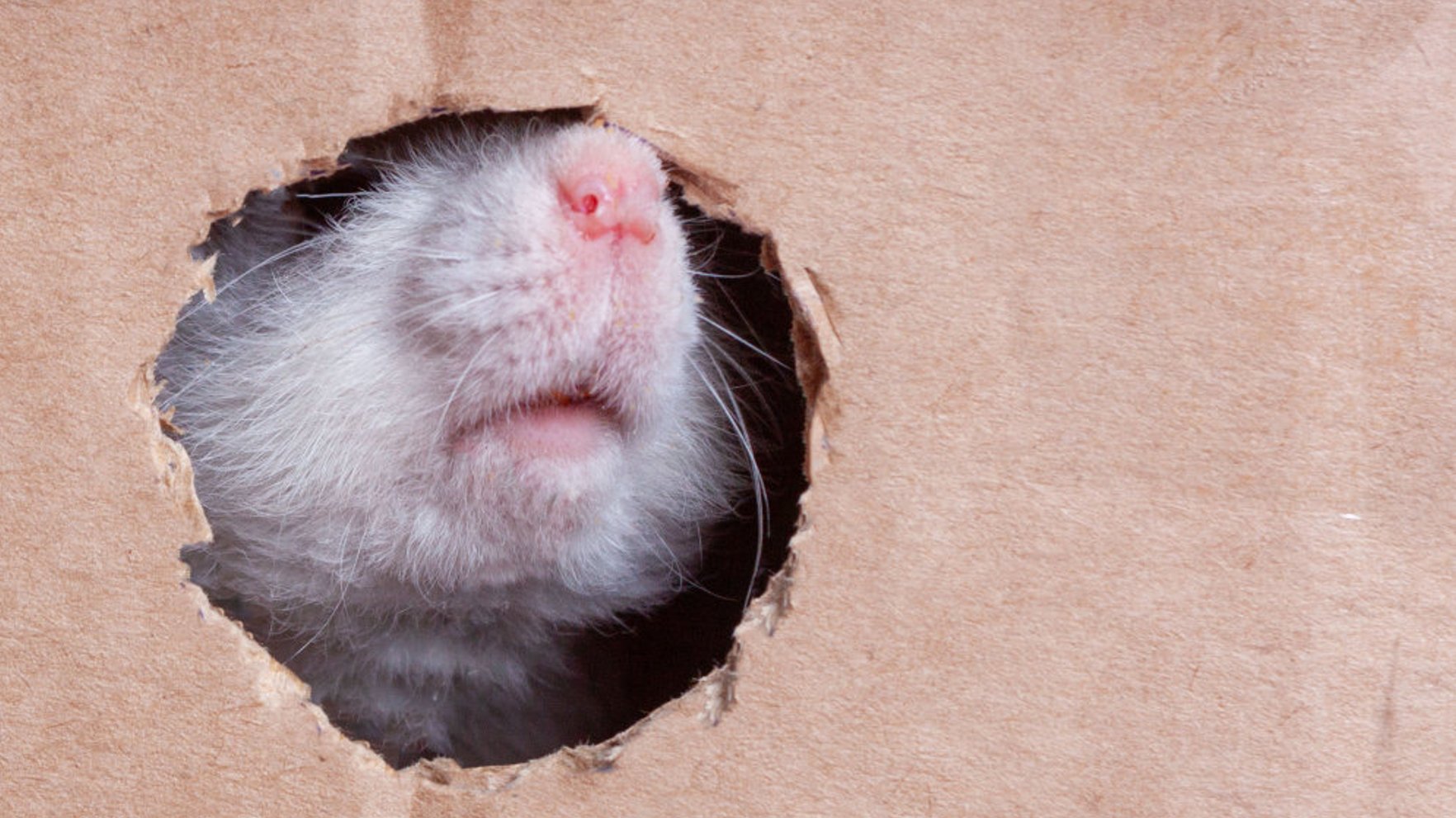 Latvijā uzlabojas gaisa kvalitāte