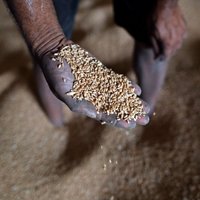 Киев запустил программу доставки зерна в беднейшие страны