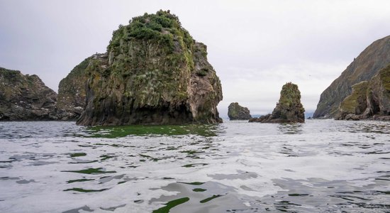 'Greenpeace' brīdina par ekoloģisko katastrofu jūrā pie Kamčatkas pussalas