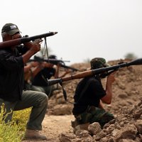 ИГ казнило восемь голландских боевиков, восставших против боевиков из Ирака