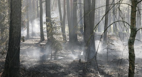 Papes mežā ceturto dienu dzēš ugunsgrēku