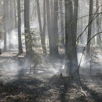 Mēneša laikā Latvijā izdeguši 78 hektāri meža