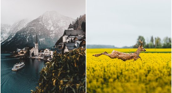 Dabas fotogrāfs Kārlis Buškevics: Latvija ir kā viens liels dabas parks