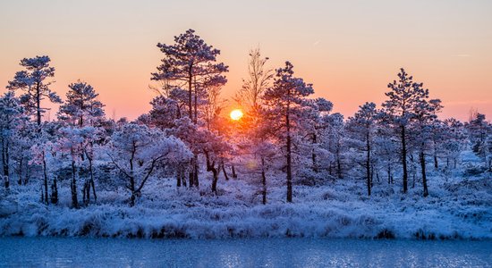 Ziemas saulstāvju tradīcijas: kā gatavosimies un kā svinēsim?