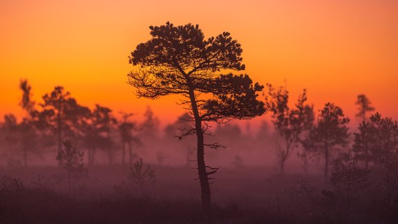 Ķemeru tīrelis: 28. septembris - 12