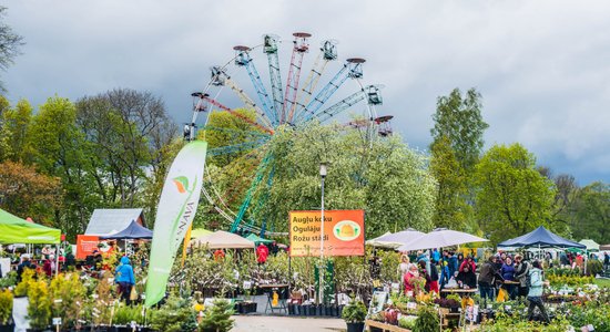 18. septembrī Siguldā notiks grandiozā rudens Stādu parāde