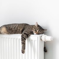 Kā vislabāk nosiltināt dzīvokli un parūpēties par siltumnoturību miteklī ilgtermiņā