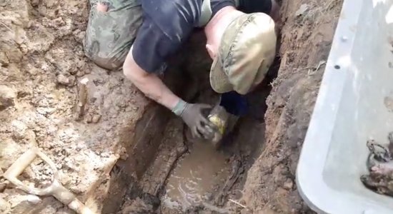 ВИДЕО: В Вангажи возле Сигулдского шоссе нашли останки немецких солдат