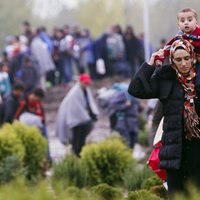 Власти Хорватии будут перевозить мигрантов к границе Словении