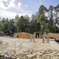 ФОТО. В Рижском зоопарке завершено строительство "Африканской саванны"