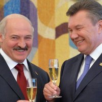 Лукашенко: в событиях на Украине виноват только Янукович