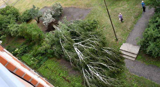 ФОТО: последствия стихии в Даугавпилсе