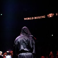 WBO vadītājs: šaubos, ka šogad vēl redzēsim boksa cīņas