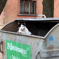 Piecu mēnešu laikā maksa par atkritumu izvešanu Rīgā palielinājusies par 172% (pievienots RD komentārs)