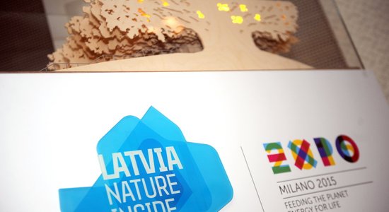 Saistībā ar Latvijas nepiedalīšanos izstādē 'ExpoMilano2015' apsūdzēta arī bijusī EM amatpersona