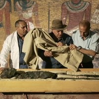 Проклятию фараона Тутанхамона исполнилось 90 лет