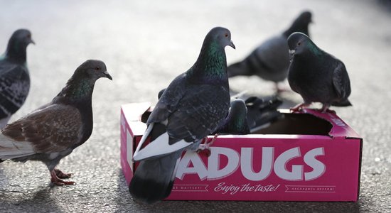 Tiesvedība var vilkties gadiem – kas šobrīd notiek ar 'Adugs Production'?