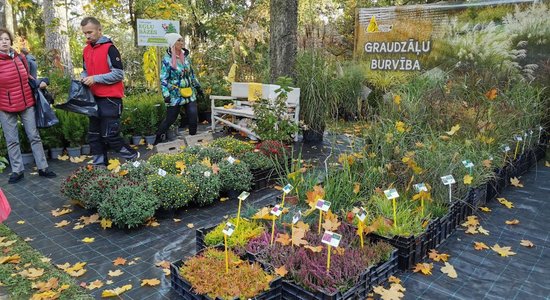 1. oktobrī Jūrmalā notiks 'Rudens ražas svētki'