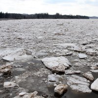 Daugavā pie Jēkabpils ūdens līmenis divās dienās kāpis par vairāk nekā diviem metriem; dienā gaidāma palieņu applūšana