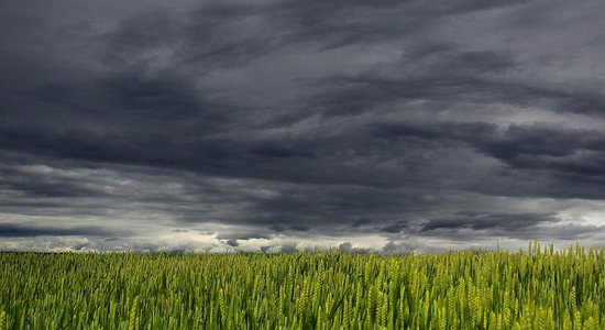 Zemniekam saistībā ar pusaudža nāvi Auru pagastā piespriež naudas sodu