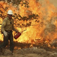 Milzīgo mežu ugunsgrēku pie nacionālā parka Kalifornijā izraisījis mednieka ugunskurs