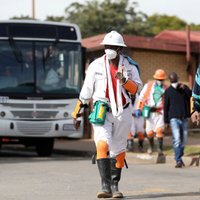 В Африке выявлен новый случай смерти от Эболы