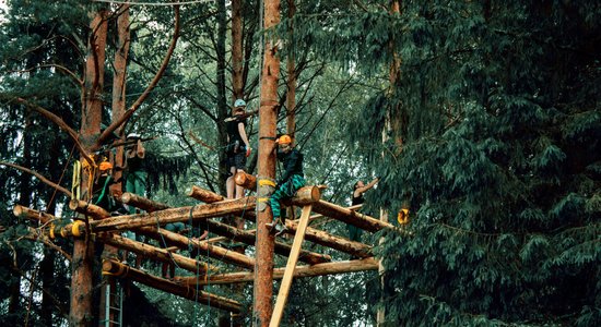 'Radām novadam': Strenču novada kokos top platformas un mājas