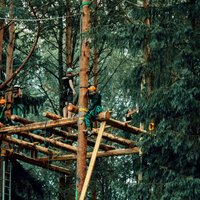 'Radām novadam': Strenču novada kokos top platformas un mājas