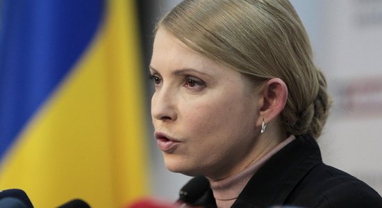 Тимошенко против строительства "Стены" на границе Украины с Россией