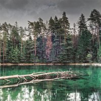 Пять уникальных мест, которые расположены совсем недалеко — в Эстонии