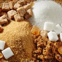 Virtuves pamati: Īsais ceļvedis cukura pasaulē