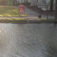 Foto: Ņiprais vējš palielinājis ūdens līmeni Rīgas kanālā