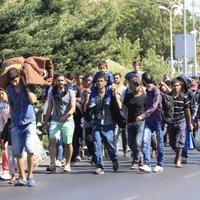 Страуюма: Европа не может принимать экономических беженцев