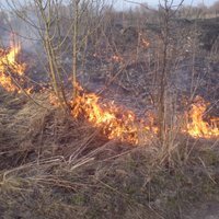 Piektdien Latvijā nav reģistrēts neviens kūlas ugunsgrēks
