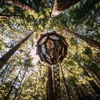 Brīvdienu namiņš Kalifornijas mežu biezoknī, kas atgādina čiekuru
