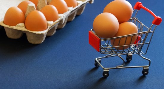 Евросоюз вводит пошлины на импорт яиц и овса из Украины